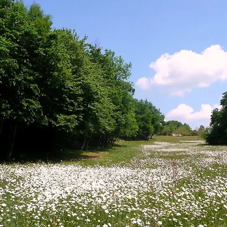 Domaene Mit Jacuzzi By Interhome Gavaudun