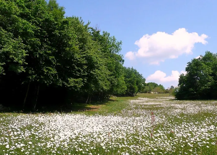Domaene Mit Jacuzzi By Interhome Gavaudun
